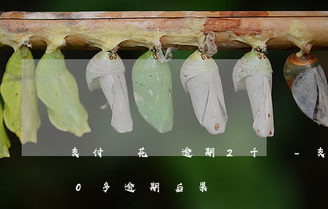 支付寶花唄逾期2千萬-支付寶花唄2000多逾期后果