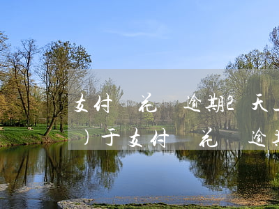 支付寶花唄逾期2天上征信嗎，關(guān)于支付寶花唄逾期2天是否會(huì)上征信的疑問(wèn)解答