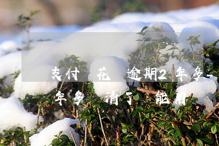 支付寶花唄逾期2年多-支付寶花唄逾期2年多,還清了還能用嗎