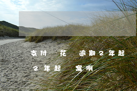 支付寶花唄逾期2年起訴-支付寶花唄逾期2年起訴案例