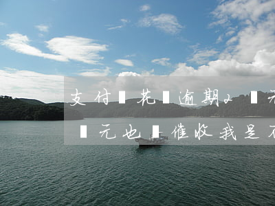 支付寶花唄逾期2萬元-支付寶花唄逾期2萬元,也沒催收我,是不是把我忘了