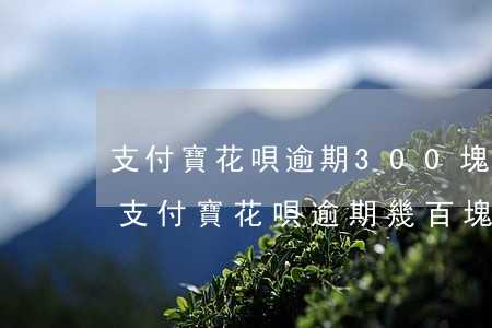 支付寶花唄逾期300塊會(huì)怎樣(支付寶花唄逾期幾百塊錢(qián)有事嗎)