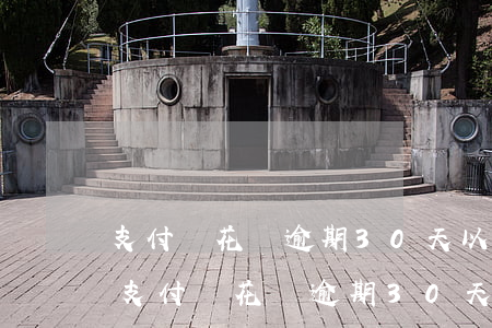 支付寶花唄逾期30天以上永久不能用嗎-支付寶花唄逾期30天以上永久不能用嗎