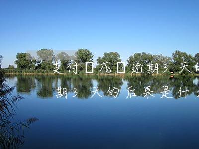 支付寶花唄逾期3天的后果-支付寶花唄逾期3天的后果是什么
