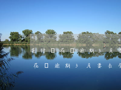 支付寶花唄逾期3月要去全部還款-支付寶花唄逾期3月要去全部還款嗎