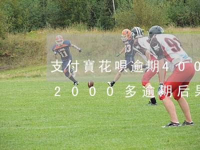 支付寶花唄逾期4000后果-支付寶花唄2000多逾期后果