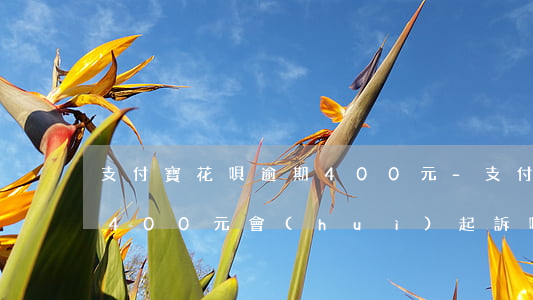 支付寶花唄逾期400元-支付寶花唄逾期400元會(huì)起訴嗎