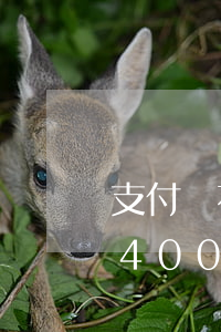 支付寶花唄逾期400塊-支付寶花唄逾期400塊忘了還