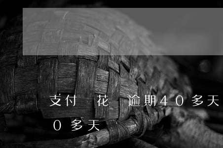 支付寶花唄逾期40多天(支付寶花唄逾期40多天)
