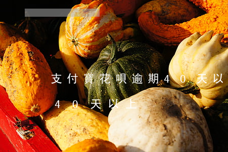 支付寶花唄逾期40天以上(支付寶花唄逾期40天以上)