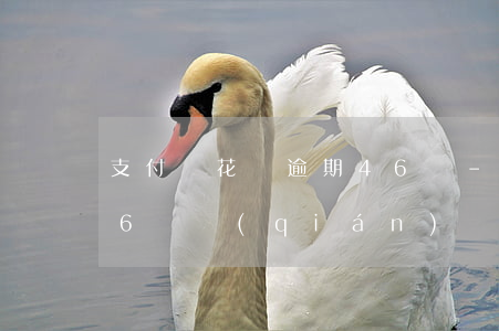 支付寶花唄逾期46塊-支付寶花唄逾期46塊錢(qián)