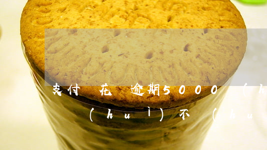 支付寶花唄逾期5000會(huì)起訴嗎?會(huì)不會(huì)坐牢（螞蟻花唄逾期700會(huì)被起訴嗎）