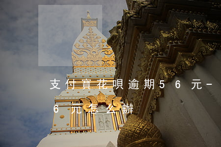 支付寶花唄逾期56元-支付寶花唄逾期56元怎么辦