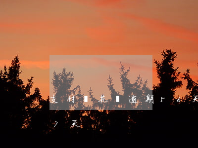 支付寶花唄逾期56天什么(支付寶花唄逾期7天)