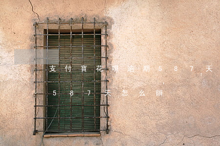 支付寶花唄逾期587天-支付寶花唄逾期587天怎么辦