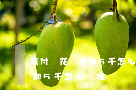 支付寶花唄逾期5千怎么辦-支付寶花唄逾期5千怎么辦理