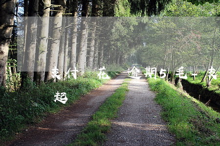 支付寶花唄逾期5毛-支付寶花唄逾期五千起訴