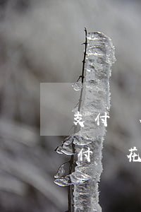 支付寶花唄逾期5萬(wàn)多逾期-支付寶花唄逾期5萬(wàn)多逾期