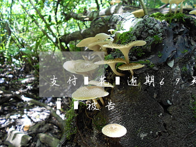 支付寶花唄逾期69天(支付寶花唄逾期多少錢會被告)
