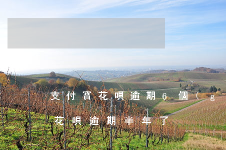 支付寶花唄逾期6個(gè)月不還(支付寶花唄逾期半年了)