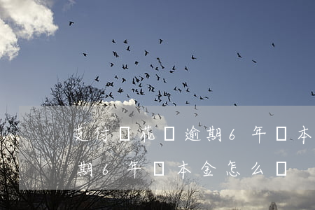 支付寶花唄逾期6年還本金-支付寶花唄逾期6年還本金怎么辦
