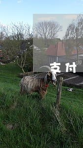 支付寶花唄逾期78天了還能用嗎