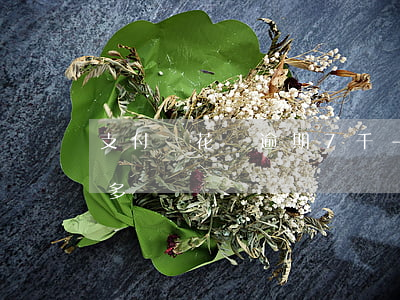 支付寶花唄逾期7千-支付寶花唄逾期7千多