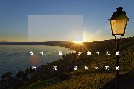 支付寶花唄逾期7天被凍結(jié)-支付寶花唄逾期7天被凍結(jié)怎么辦