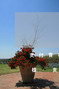 支付寶花唄逾期90天以上會(huì)怎樣-支付寶花唄逾期90天以上會(huì)怎樣呢
