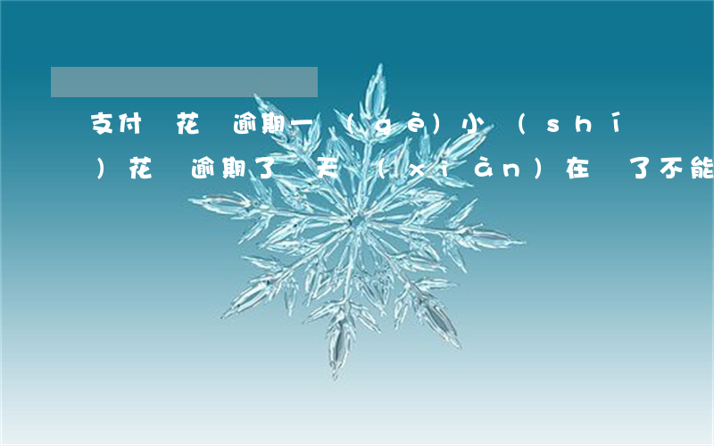 支付寶花唄逾期一個(gè)小時(shí)(花唄逾期了幾天,現(xiàn)在還了,不能用了)