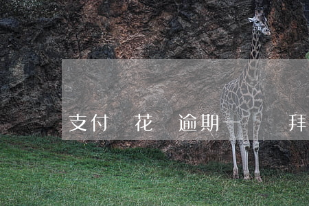 支付寶花唄逾期一個禮拜-