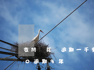 支付寶花唄逾期一千多天(支付寶花唄1000逾期3年)