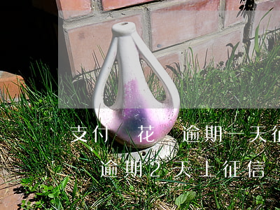 支付寶花唄逾期一天征信報告顯示(支付寶花唄逾期2天上征信嗎)