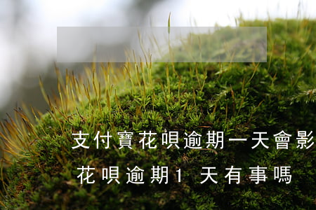 支付寶花唄逾期一天會影響信用嗎-支付寶花唄逾期1天有事嗎?
