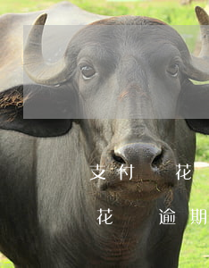 支付寶花唄逾期一天還款會怎么樣-支付寶花唄逾期1天會上征信嗎