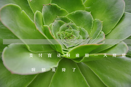 支付寶花唄逾期一天降低額度嗎(沒有逾期花唄額度降了)