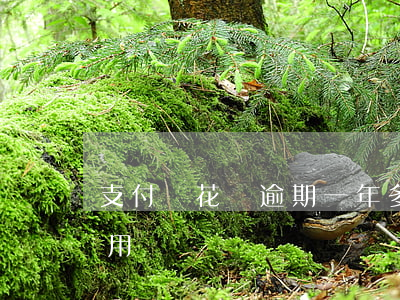 支付寶花唄逾期一年多還沒(méi)法使用