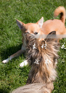 支付寶花唄逾期一年未還-支付寶花唄欠款逾期1年還差幾百沒還上