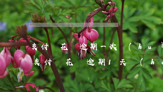 支付寶花唄逾期一次會(huì)上征信嗎(支付寶花唄逾期1天會(huì)上征信嗎)