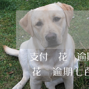 支付寶花唄逾期七百塊會上征信嗎-支付寶花唄逾期七百塊會上征信嗎知乎