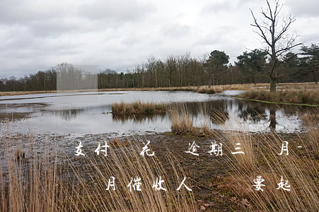 支付寶花唄逾期三個月-支付寶花唄逾期三個月催收人員說要起訴我