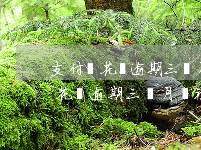 支付寶花唄逾期三個月會被起訴嗎-支付寶花唄逾期三個月會被起訴嗎知乎