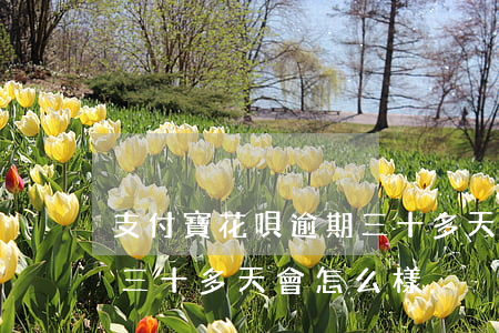 支付寶花唄逾期三十多天-支付寶花唄逾期三十多天會怎么樣