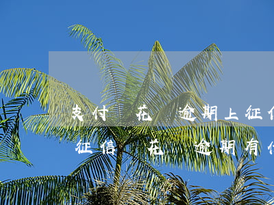 支付寶花唄逾期上征信-支付寶花唄逾期上征信嗎?花唄逾期有什么后果