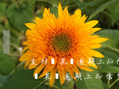 支付寶花唄逾期上征信多久可以消除-支付寶花唄逾期上征信多久可以消除記錄