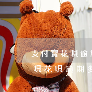 支付寶花唄逾期上征信多久能消除(支付寶借唄花唄逾期多久會(huì)上征信多久可以消除)