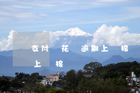 支付寶花唄逾期上門核實(支付寶花唄逾期說上門核實)