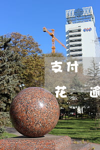支付寶花唄逾期上門走訪真的假的-支付寶花唄逾期上門走訪真的假的怎么辦