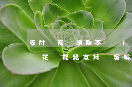 支付寶花唄逾期不給協(xié)商(欠支付寶花唄能跟支付寶客服協(xié)商解決嗎)