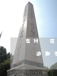 支付寶花唄逾期不能還款怎么辦-支付寶花唄逾期不能還款怎么辦呢